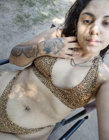 viperlatina pornstar art galleries