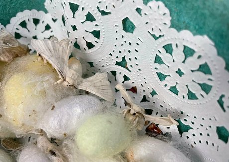 waitress onlyfans porn gallery