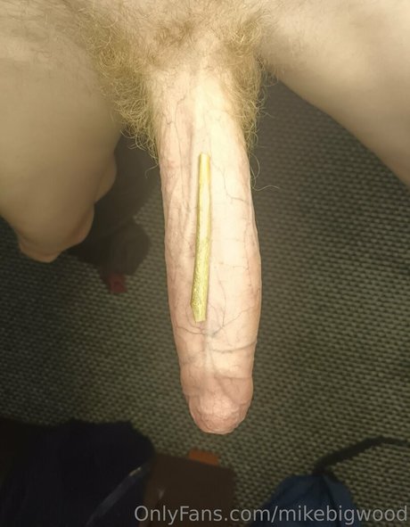 mikebigwood exclusive pornstar galleries