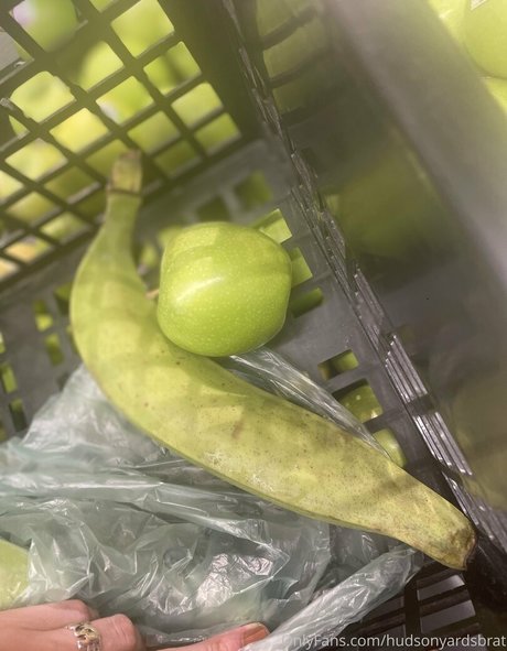 hudsonyardsbrat star beautiful galleries