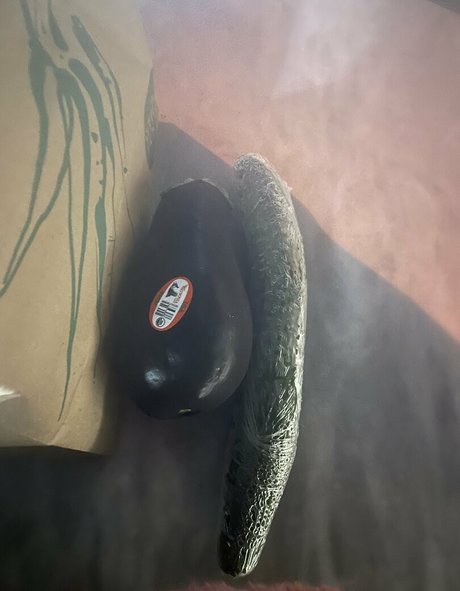 hudsonyardsbrat high quality model archive