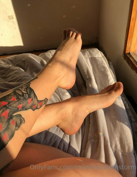 mravenstorm adult actress archive