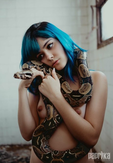 chicks with dicks onlyfans sexy naked galleries