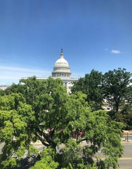 lexi love81 star xxx pic