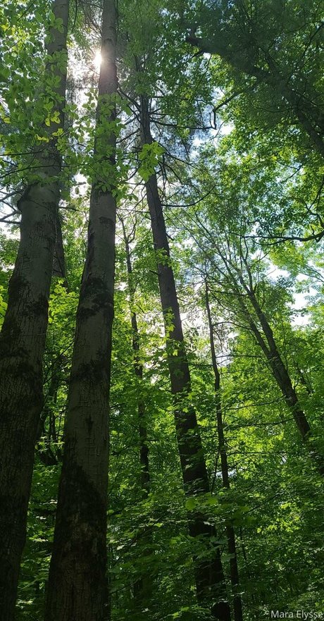 mara elysse adult model gallery