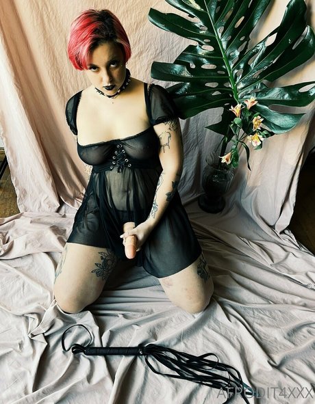 fansly onlyfans hd picture