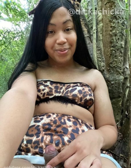 dickachicka model archive