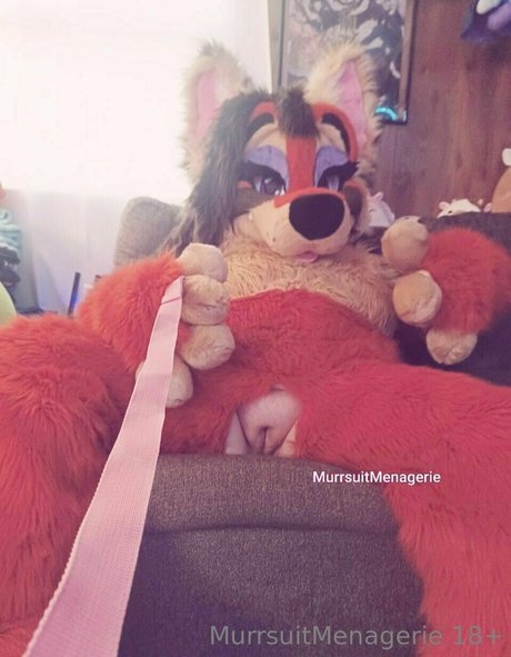 murrsuitmenagerie star porn photos
