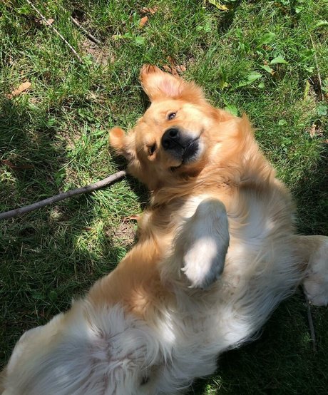 foot fetish onlyfans xxx galleries