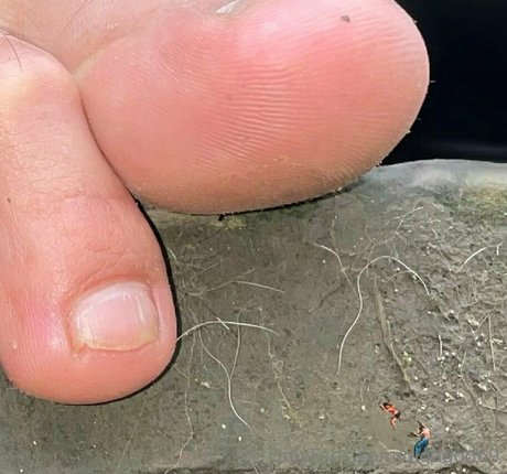 gigagod69 star high quality archive