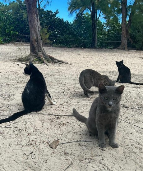 hairy pregnant onlyfans sexy archive