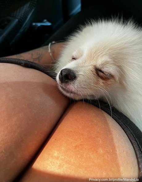 MandyLia nude model picture