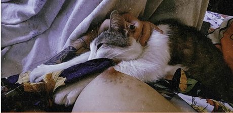 Hurona Rolera sex pornstar pics