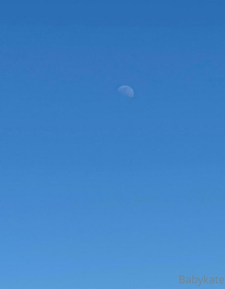 beautiful bbw onlyfans free sexy photo