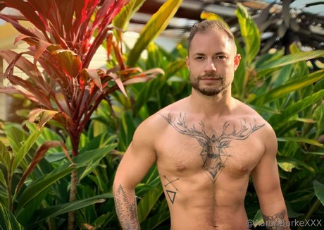 hung shemale onlyfans top img