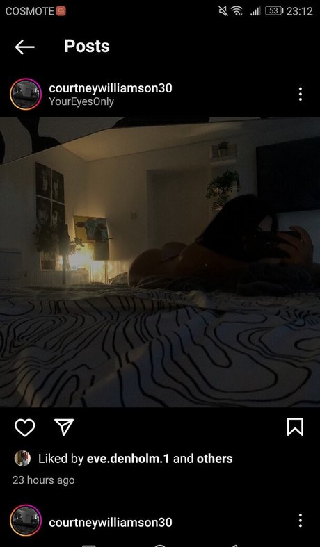 Courtney Williamson nude model archive