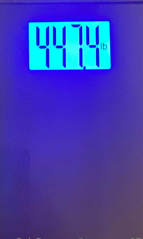 honeycow 17 pornstar nice galleries