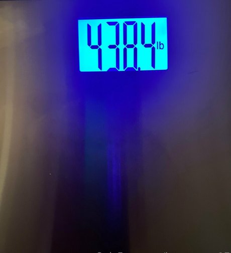 honeycow 17 high quality actress picture