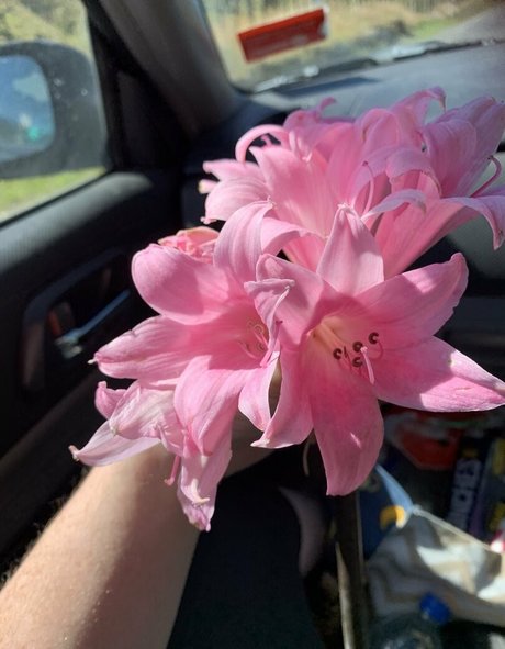 mommy onlyfans hot naked pictures