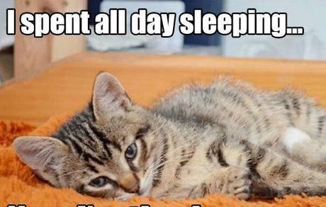 stepsister onlyfans perfect archive