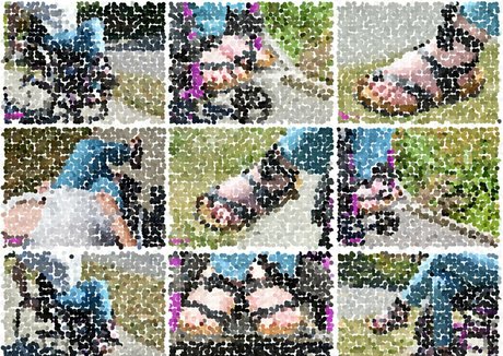 hairy legs onlyfans perfect image