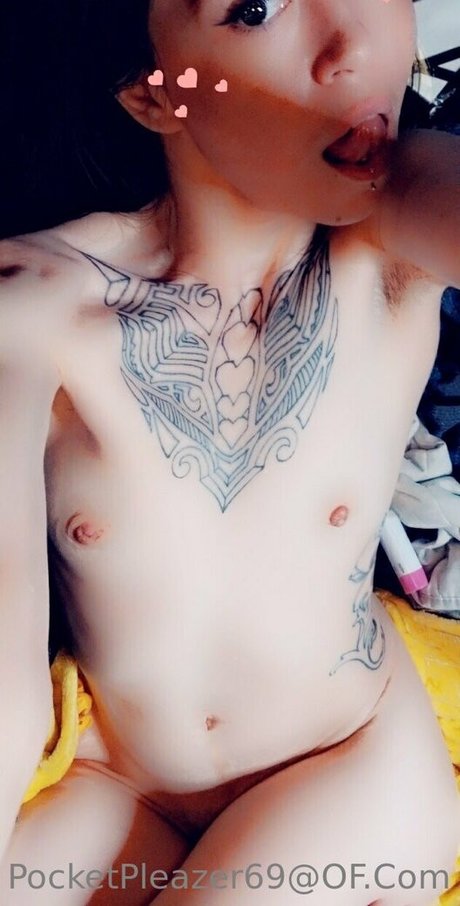 pocketpleazer pornographic star gallery