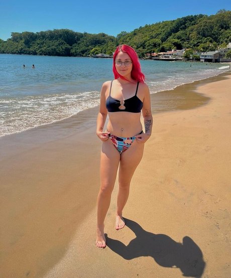 pilha top star images