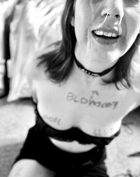 spiderplant model nice galleries