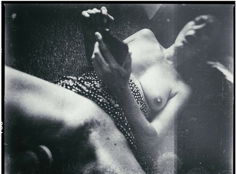 spiderplant hot pornstar img