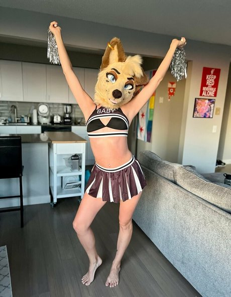 angel pups star beautiful gallery