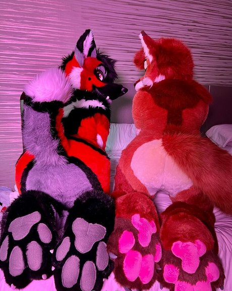 angel pups star erotic gallery