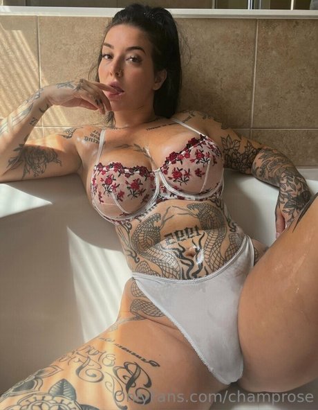 ChampagneRose hd star picture