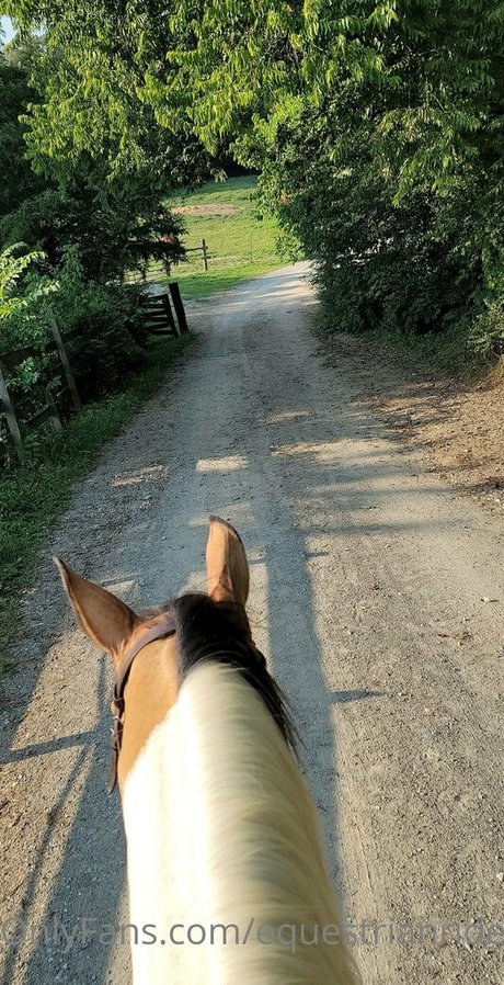 asian pantyhose onlyfans hot porn picture