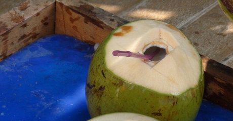 TukTuk Patrol actress photo