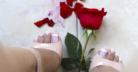 yelahia gfree hd star galleries