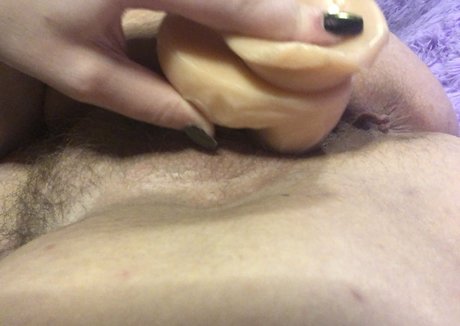 worshipmyboobies model art galleries