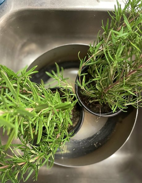 malloypanda star sexy galleries