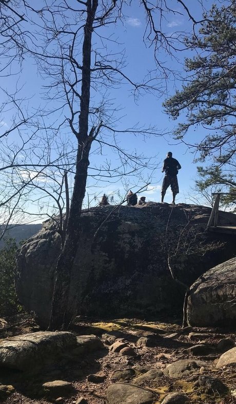 malloypanda star nudes gallery