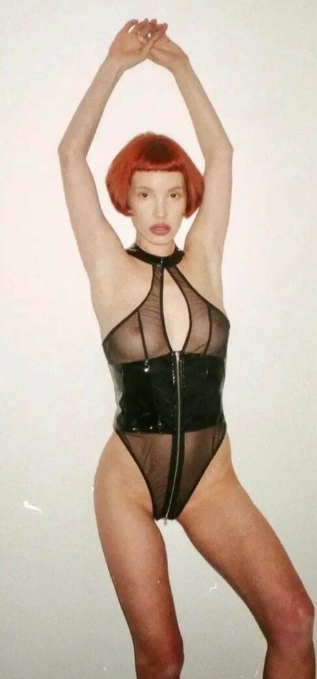 Lotussutra exclusive star gallery