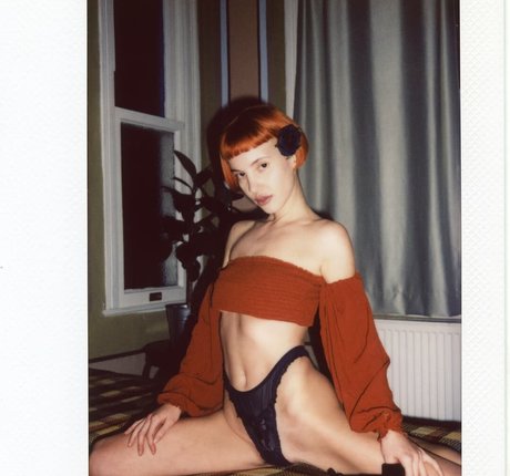 Lotussutra pretty star images