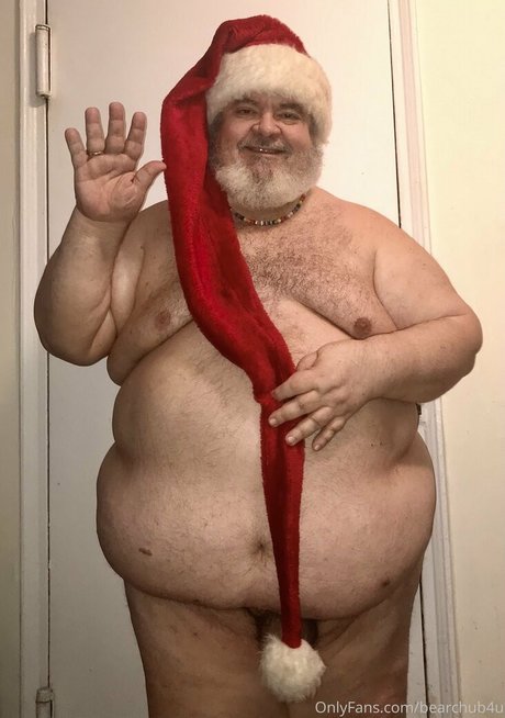 bearchub4u star high quality img