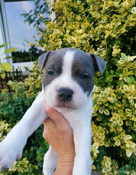 stars onlyfans sexy nudes pics