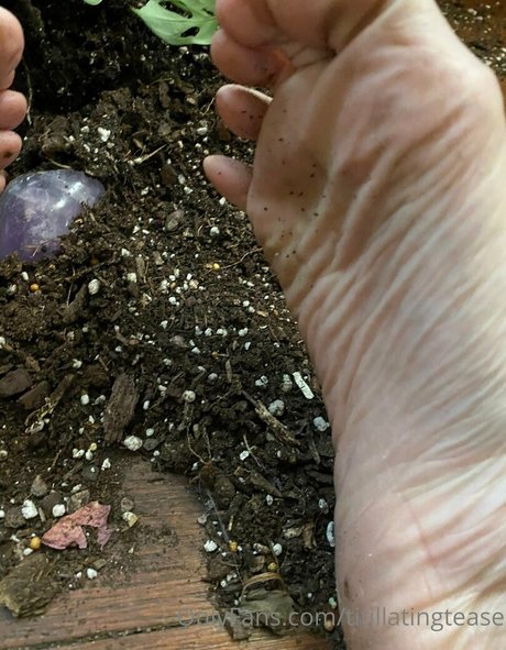 2024 top onlyfans hot images