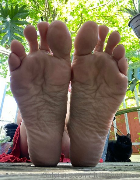 titillatingtease sex pornstar image