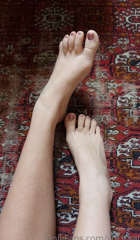 sol y sal exclusive star img