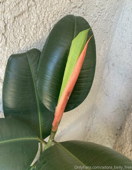 xxx asian onlyfans free naked archive