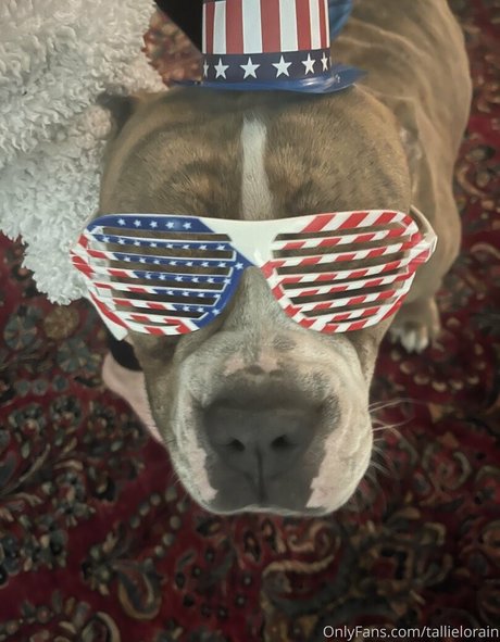 tallielorain pornstar best images