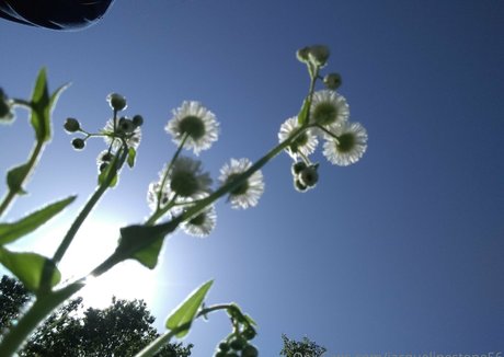 jacquelinestone56 adult star archive