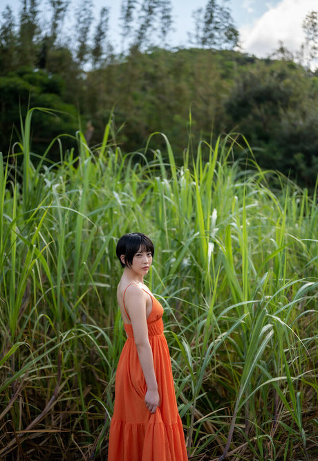 Hibiki Natsume star xxx gallery