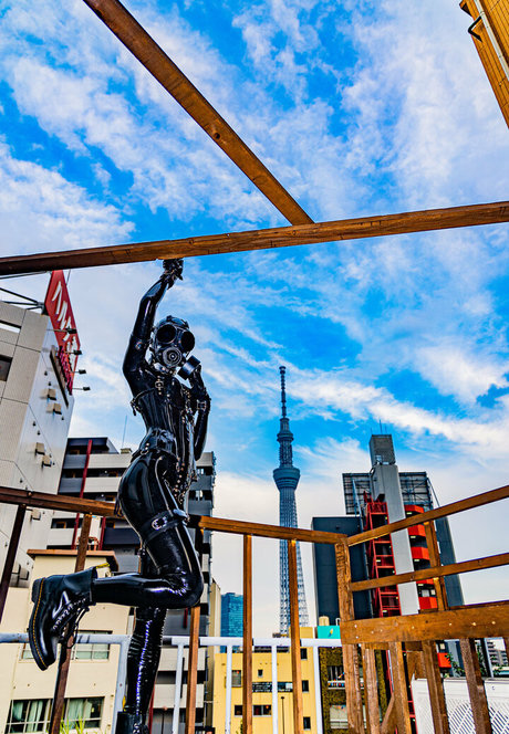 siranegi56 star hd pics